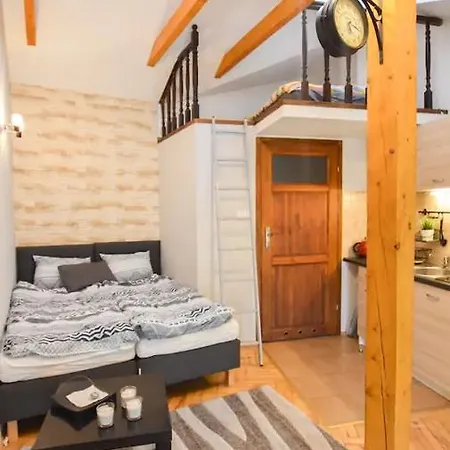 Διαμέρισμα Apartament Czapskich *